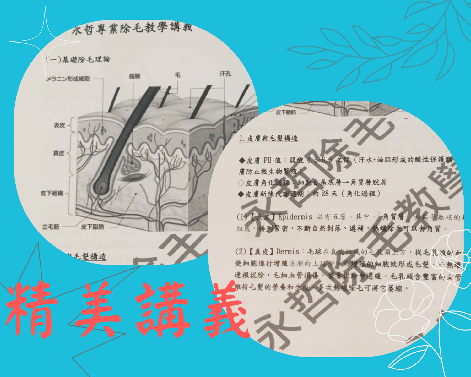 業界送最多 還附贈老師自製精華講義